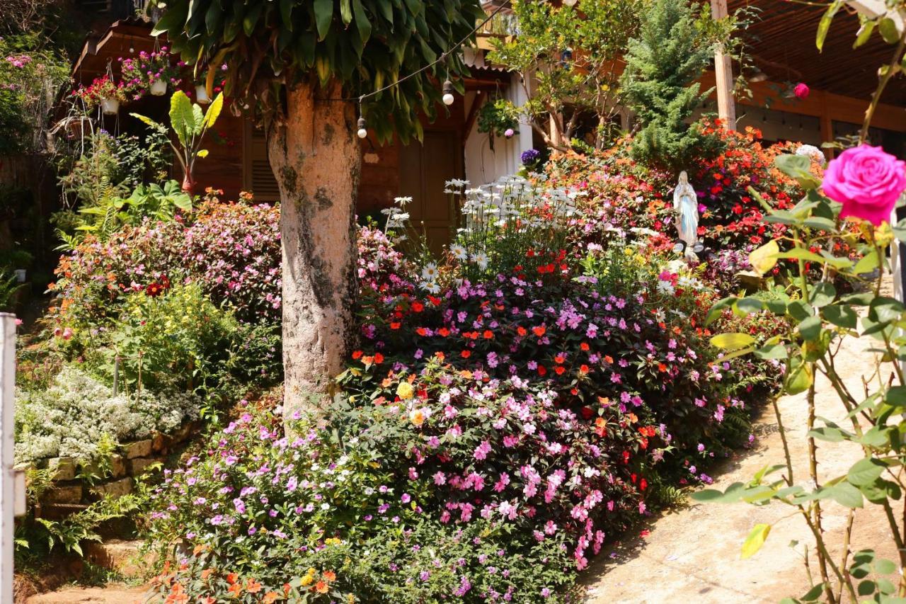 Soul Pnb Homestay Da Lat Kültér fotó