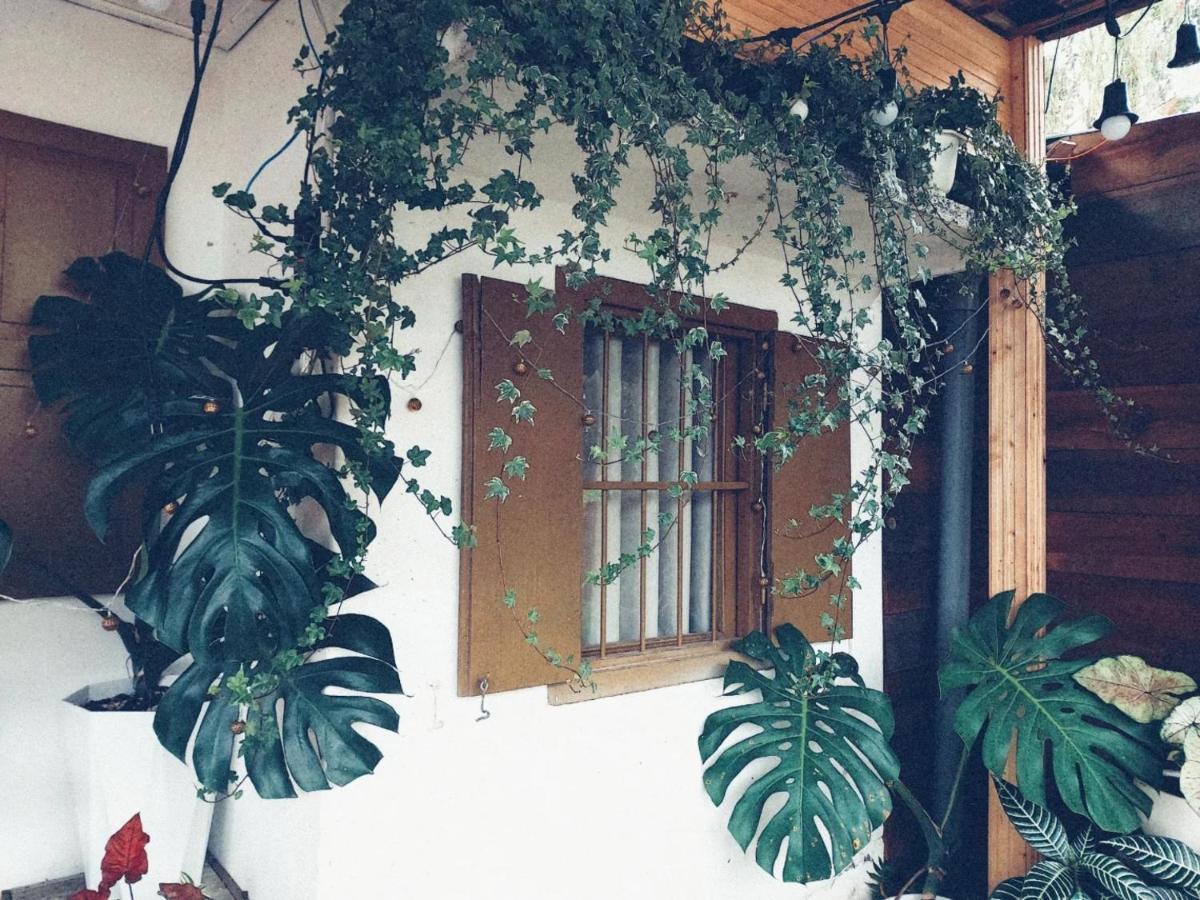 Soul Pnb Homestay Da Lat Kültér fotó